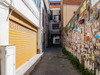 Zona