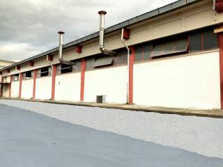Zona