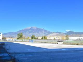 Zona