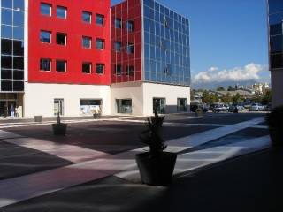 Zona