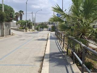 Zona