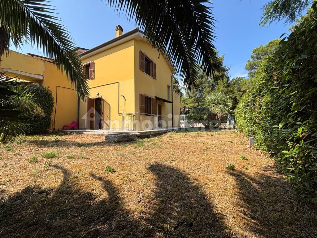Giardino