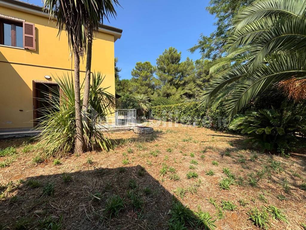 Giardino