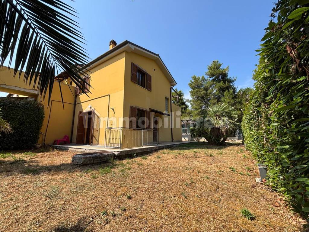Giardino