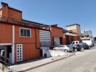 Zona