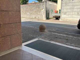 Zona