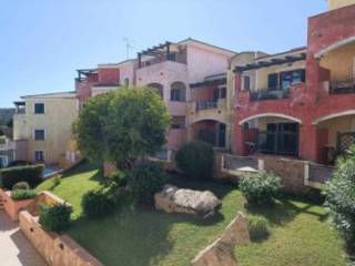 Zona