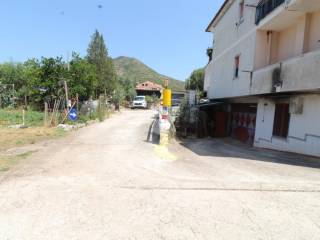 Zona