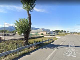 Zona