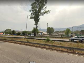 Zona