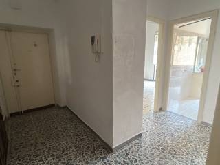 Ingresso