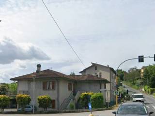 Zona