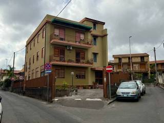 Zona