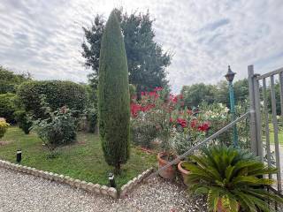 Vista