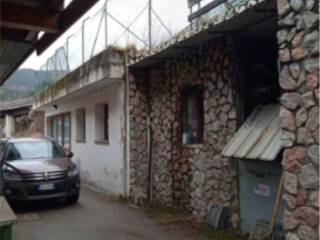Zona