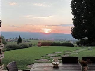 Vista