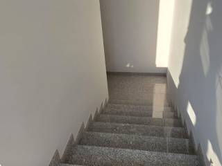 Scala