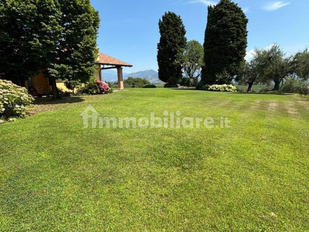 Terreno