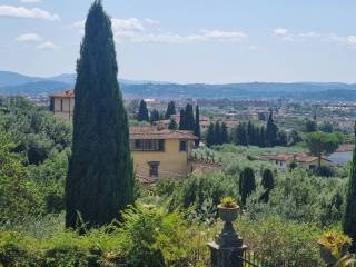 Vista