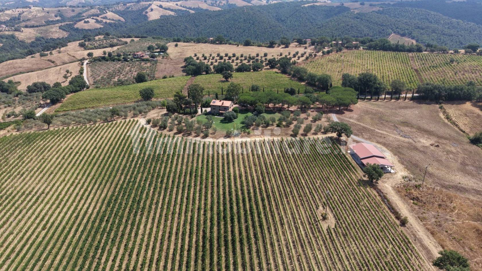 Rustico - Casale in vendita a Scansano