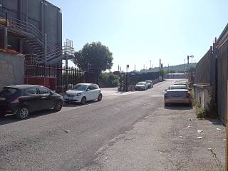 Zona