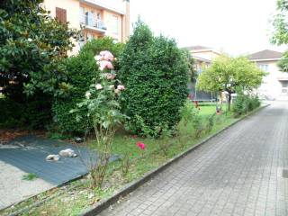 Zona