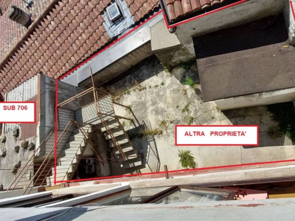 Zona