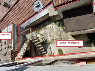 Zona