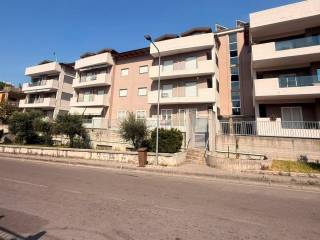 Zona