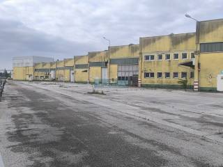 Zona