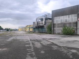 Zona