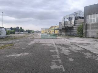 Zona
