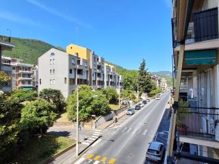 Vista
