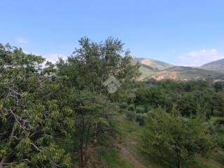 Vista
