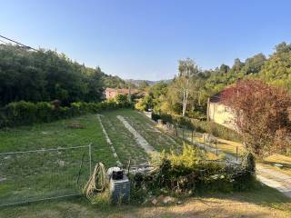 Vista