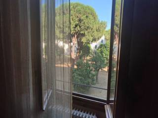 Vista