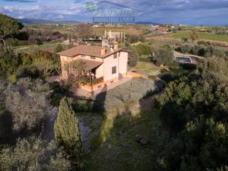 Vista