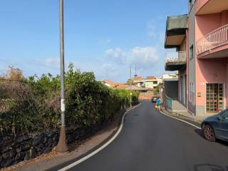 Zona