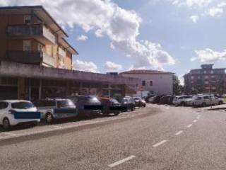 Zona