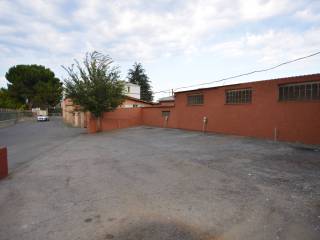 Zona