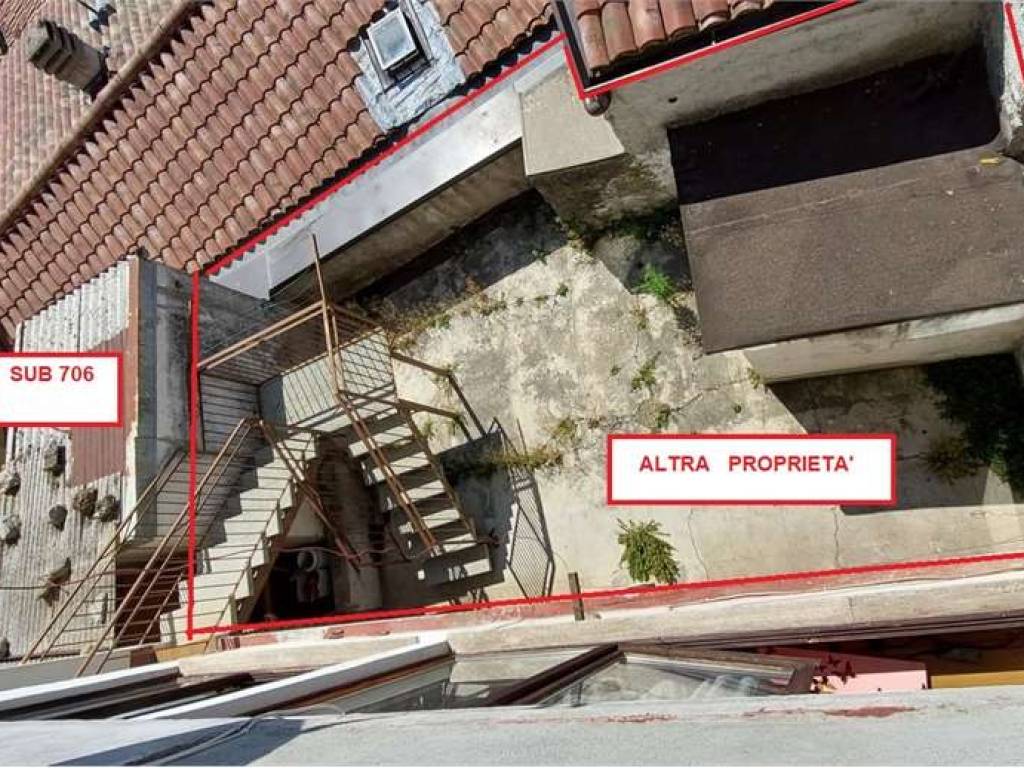 Zona