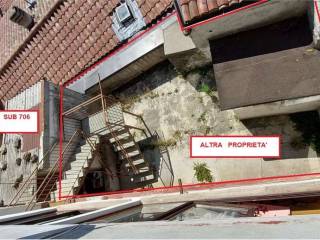 Zona