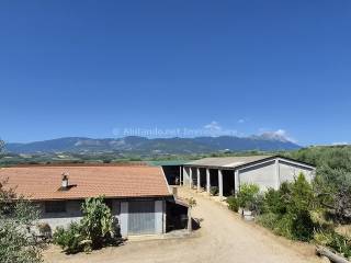 Vista