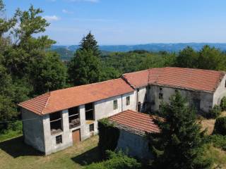 Vista