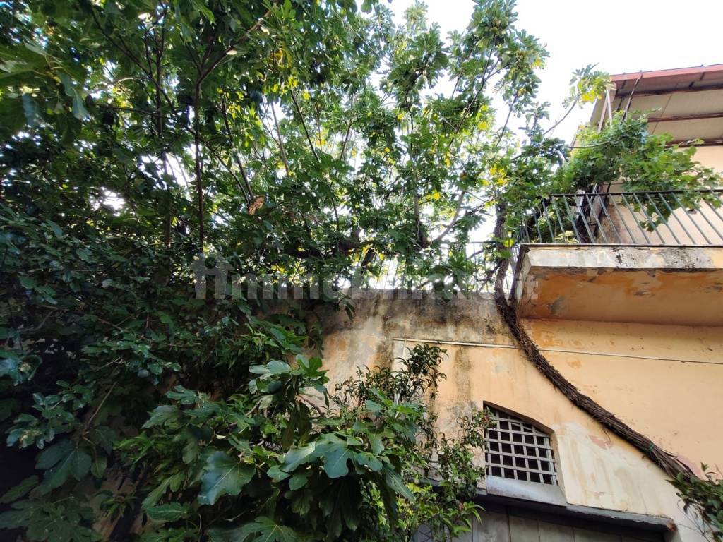 Cortile interno