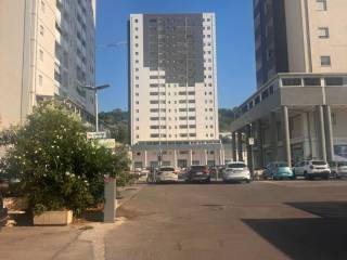 Zona