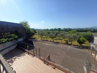 Vista