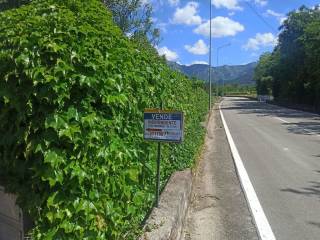 Zona