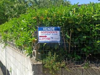 Zona