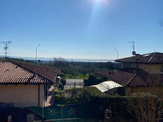 Vista